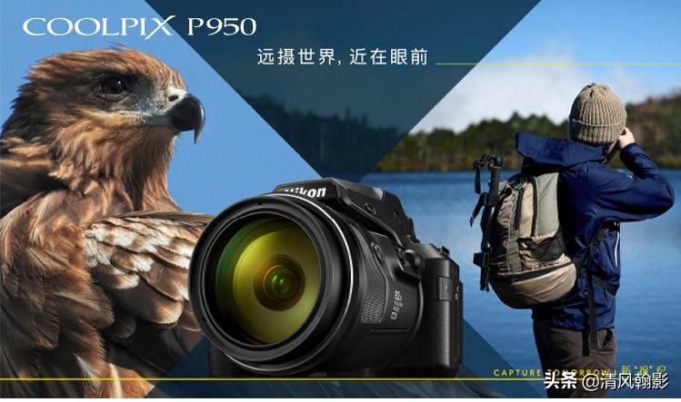 尼康p950拍产品怎么样,拍鸟一定要买大炮筒吗