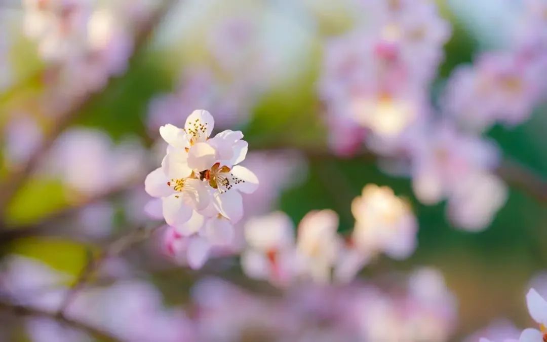 人生看透自己的早安语录,看淡世事的早安语
