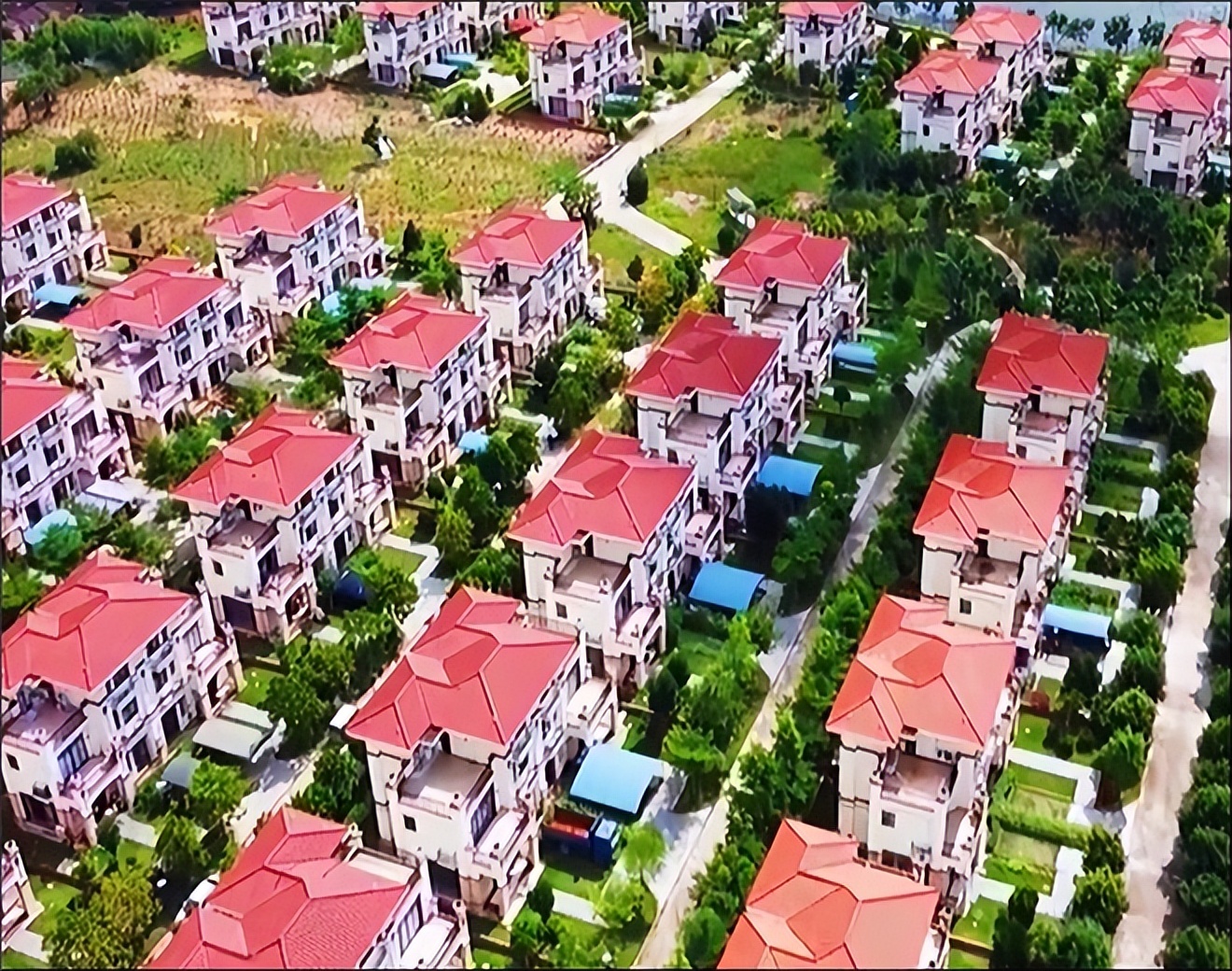 广东湛江老板每户分一套别墅,粤西私人老板建别墅给村民