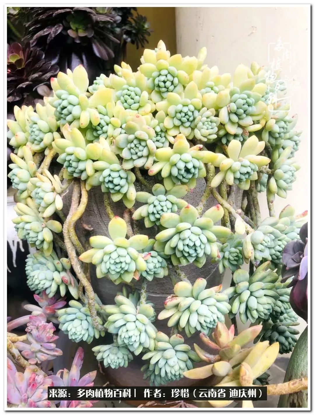 给生命一份淡然还岁月一份从容,给生命留一份洒脱的话