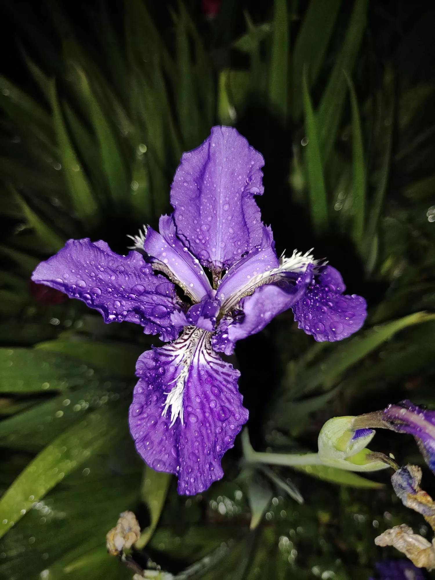 岁月斑驳留下来的都是静好时光,岁月斑驳愿时光静好