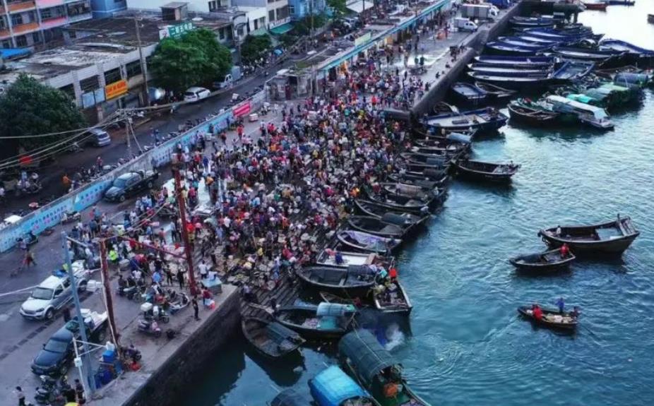 北海的海鲜便宜还是防城港的便宜 (北海吃哪些海鲜便宜)