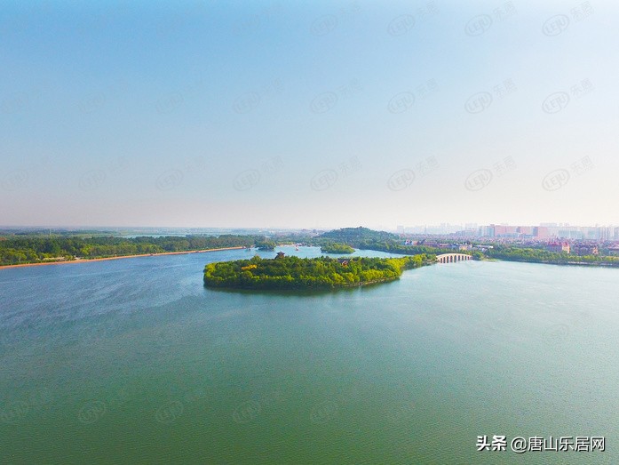 探春的深度解析,探春深度解析最新版