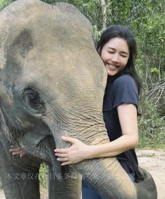 好声音总冠军张碧晨,张碧晨好声音哪一年的冠军