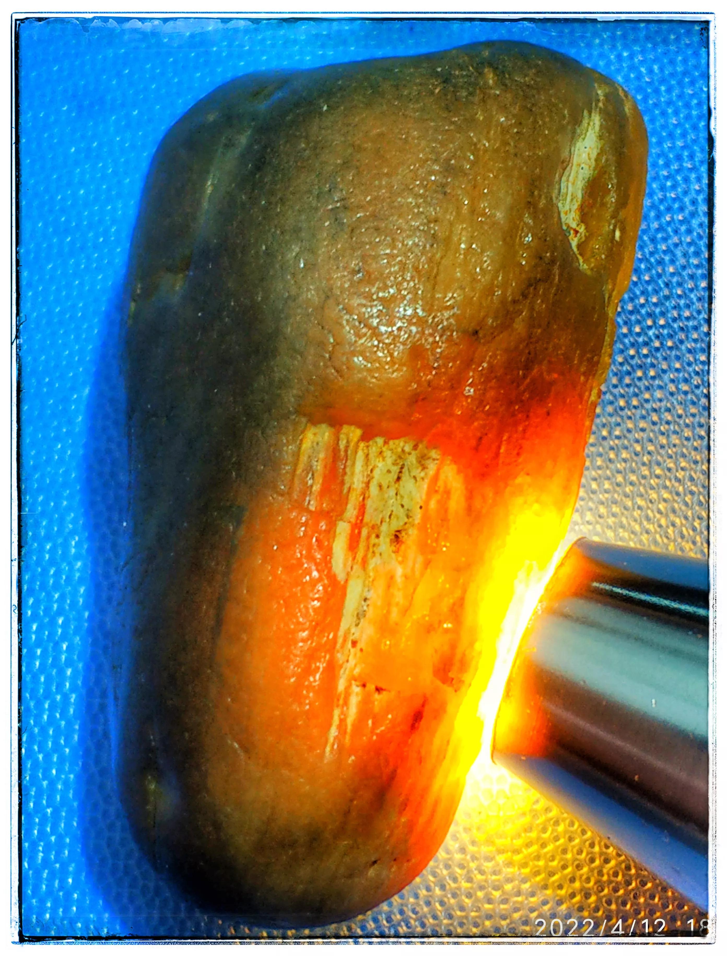 硅化木为什么含铁,硅化木为什么很重