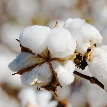 双面磨毛保暖内衣厚,德绒内衣是薄的暖和还是厚的保暖