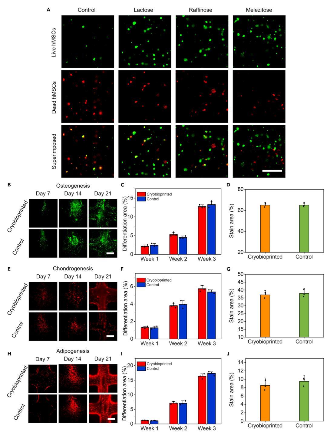 抗冻水凝胶生物敷料,抗冻水凝胶