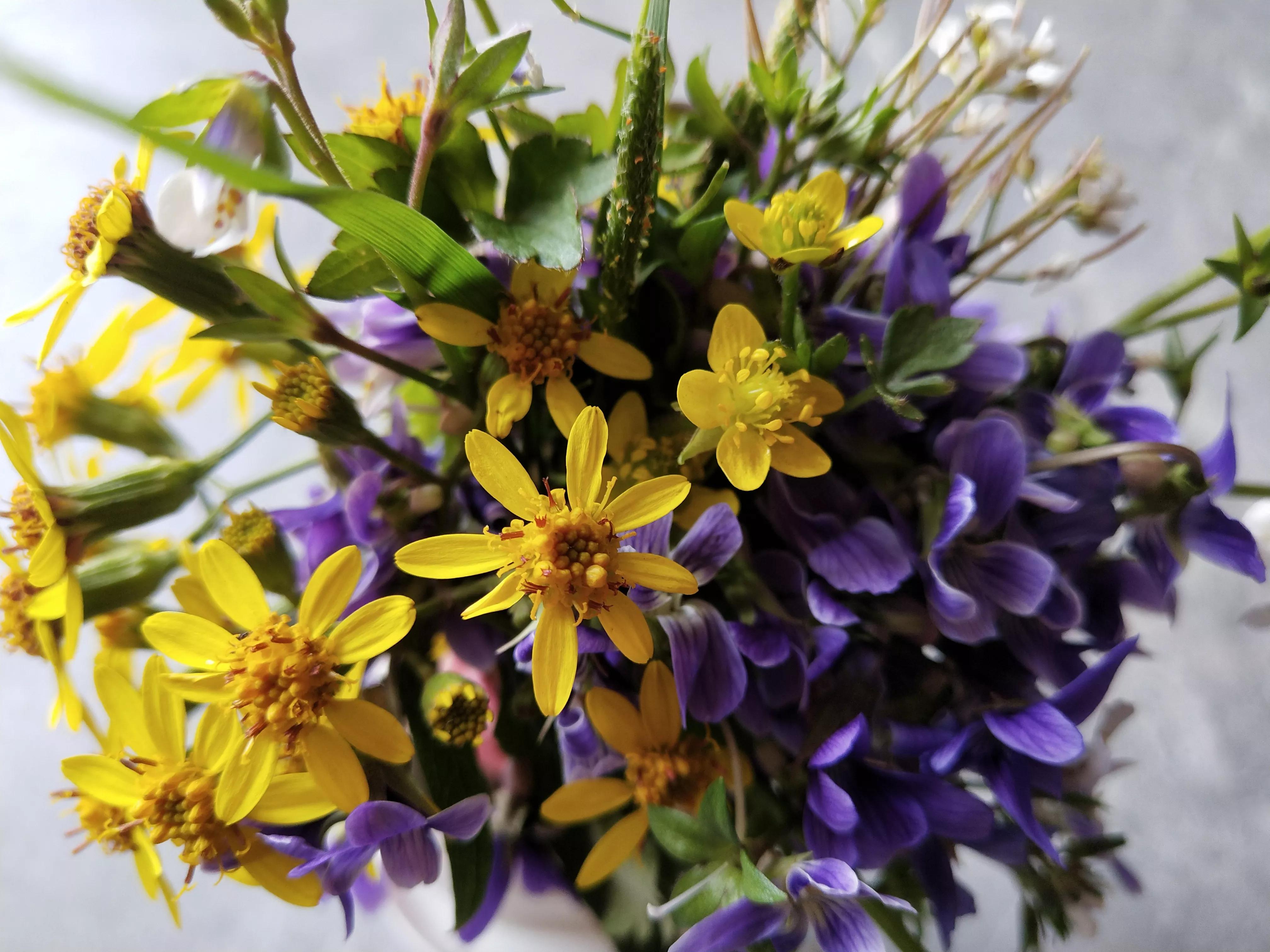 为让我参加同事孩子百日宴，丁克老公花29800给我买包包