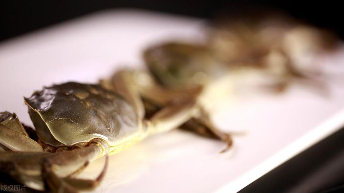 六月黄大闸蟹什么意思,六月黄大闸蟹