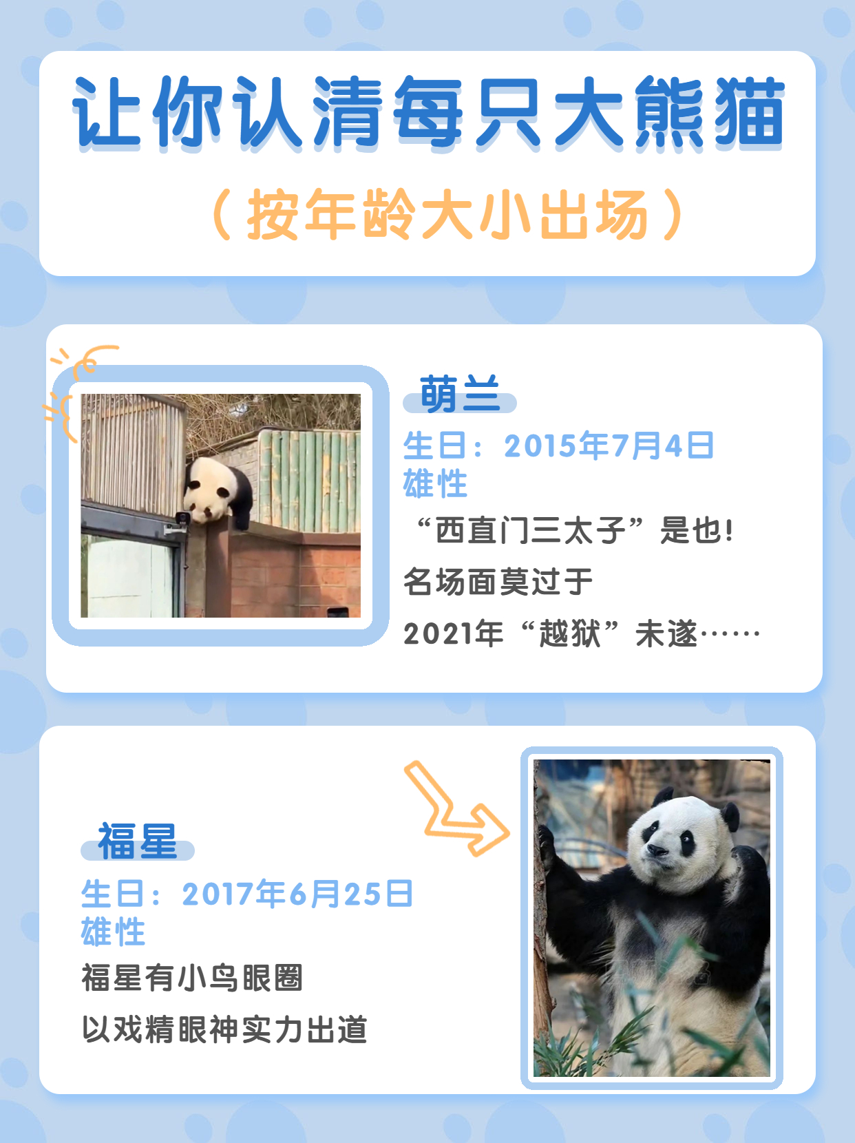 长隆野生动物园行李可以寄存的吗,淹城野生动物园能不能寄存行李