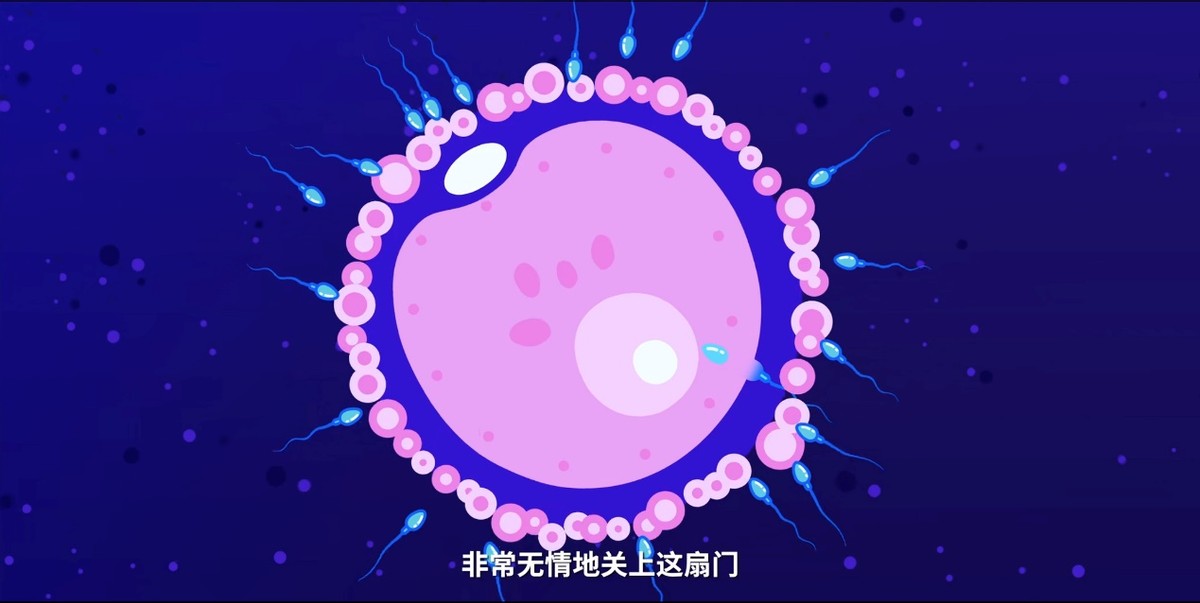 精子捐赠为什么会不合格,精子捐献不合格是有问题吗