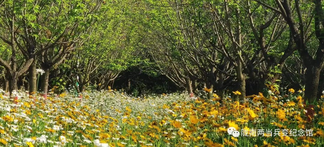 向往的田园生活有山,向往的慢生活田园生活