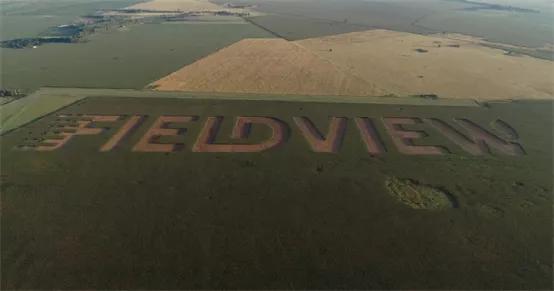 打破种子垄断，隆平高科成农业中的华为