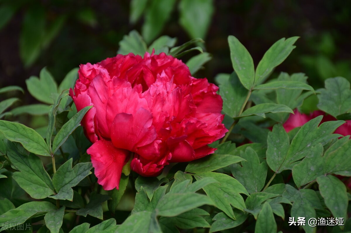 十二星座最适合报什么专业,十二星座适合的社团