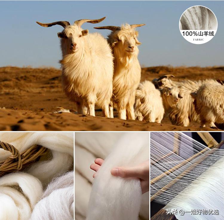 高端羊绒围巾哪个牌子好？值得你收藏!【独家】