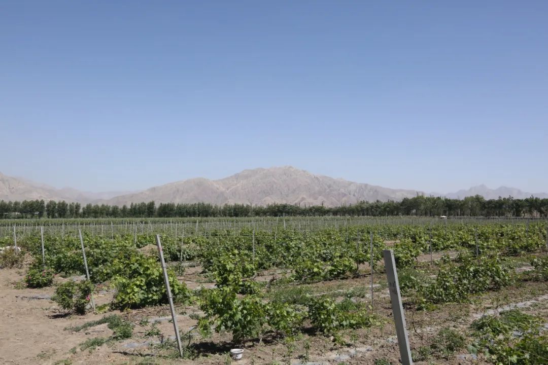 别“小看”了91.92亿