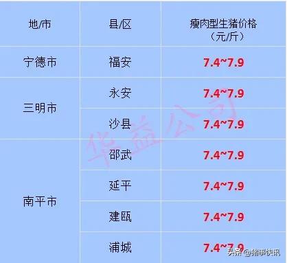 猪价快讯福建,猪价走势最新消息福建