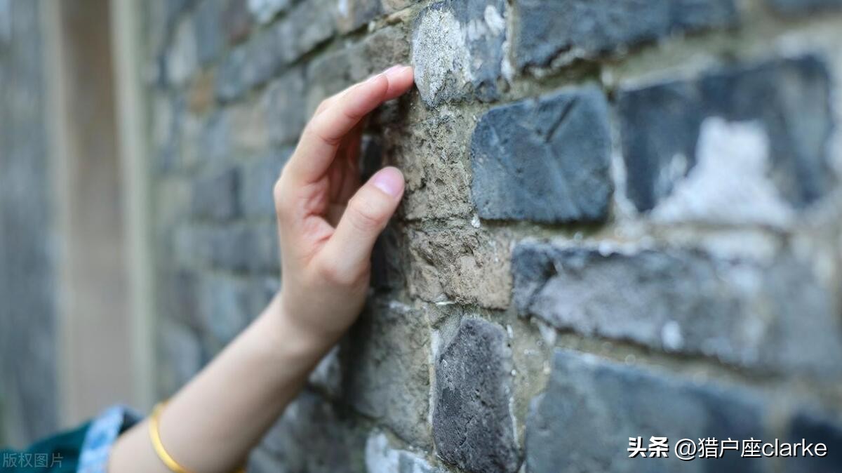 松下s5与尼康z5哪款好,松下s5和z6ii哪个好