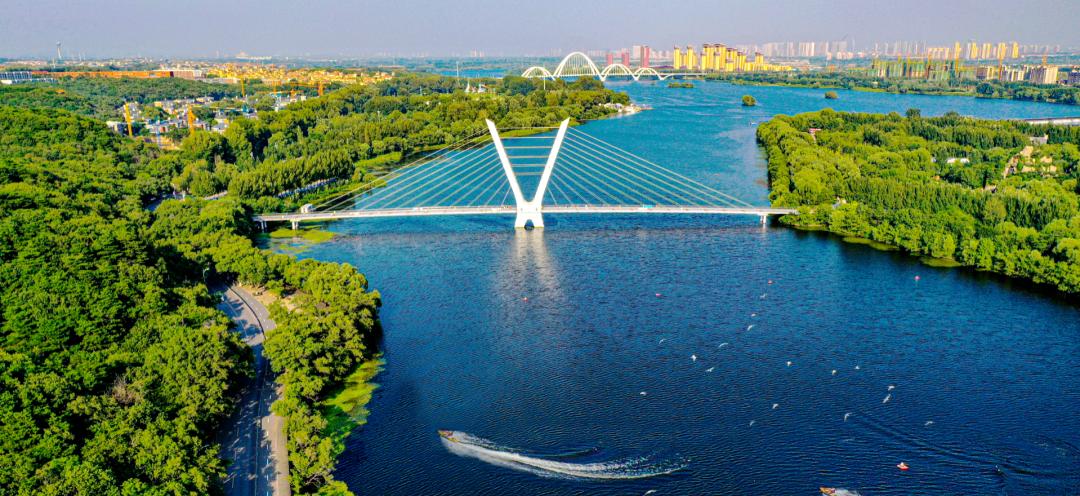 沈阳最近郊游最佳地点,沈阳湿地公园丹顶鹤放飞