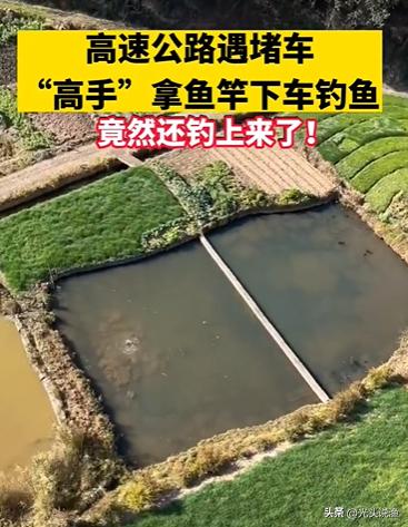 高速堵车司机无聊的拿出鱼竿钓鱼,高速公路堵车钓鱼中鱼