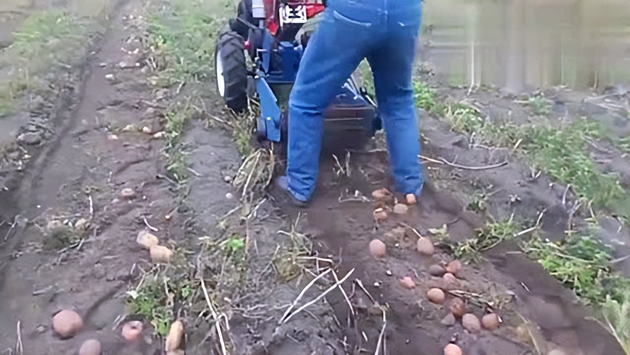 16年四川小伙去俄罗斯种土豆，不久后身家过亿，被西方企业使阴招