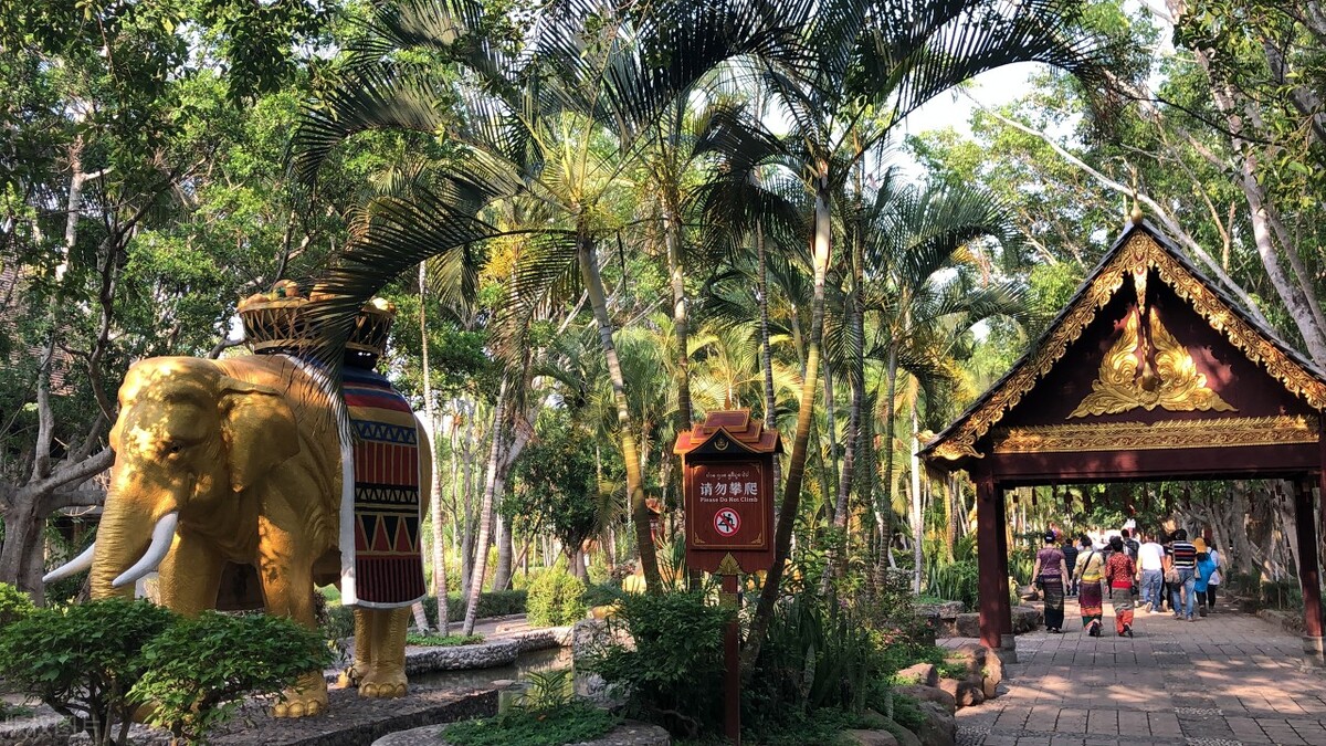 西双版纳最适合住的地方,西双版纳避寒避暑的雨林仙境