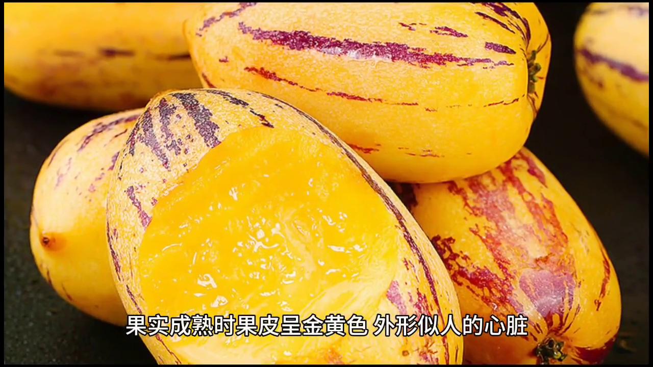 人参果怎么吃才正确,人参果正确吃法怎么吃才好