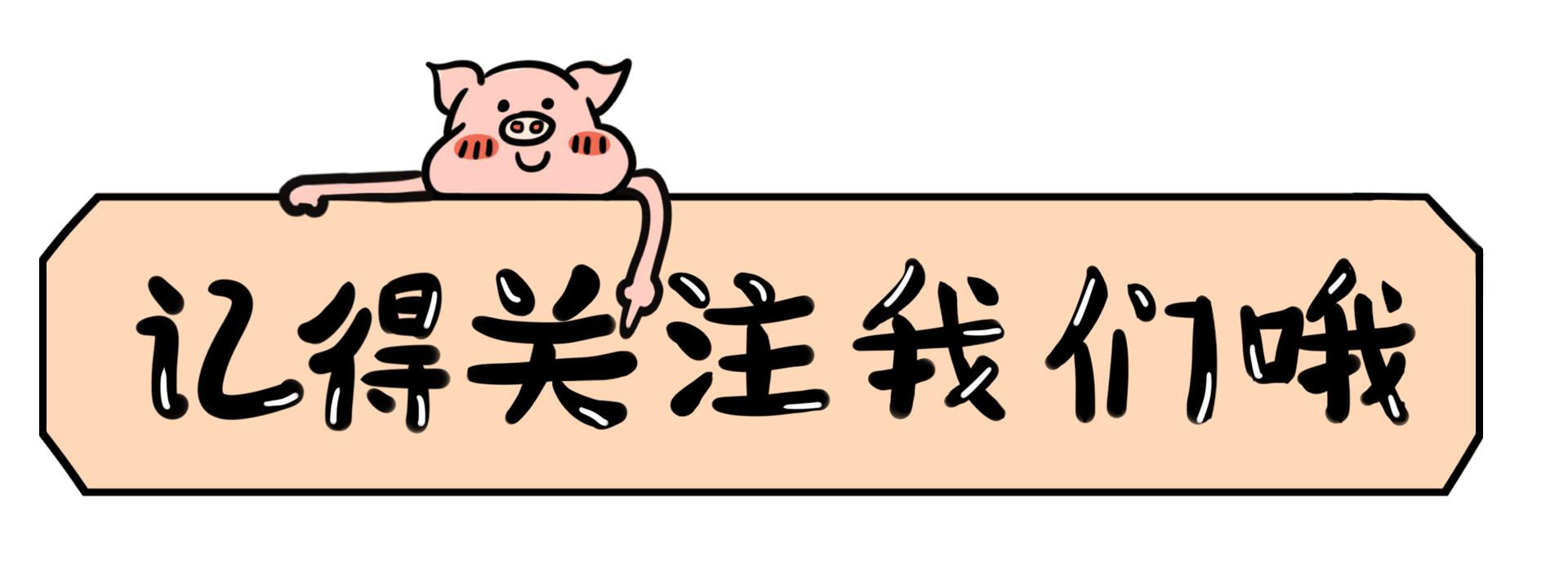 走进朝鲜100元人民币,在朝鲜一千元人民币能买什么