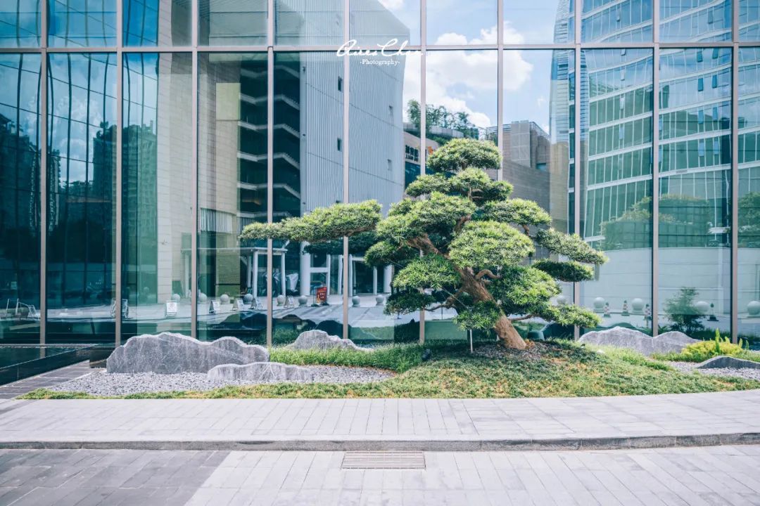 它是岭南花园的代表作，更是华南洲际的新旗舰