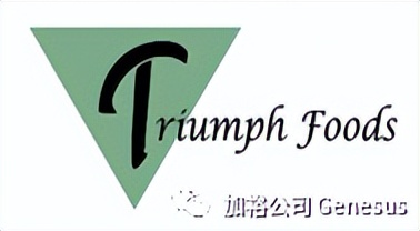 全球生猪养殖企业排名,世界十大牧业集团排名