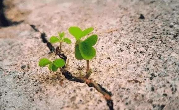 人生最值得的五大投资,人生最值得的五大投资图片