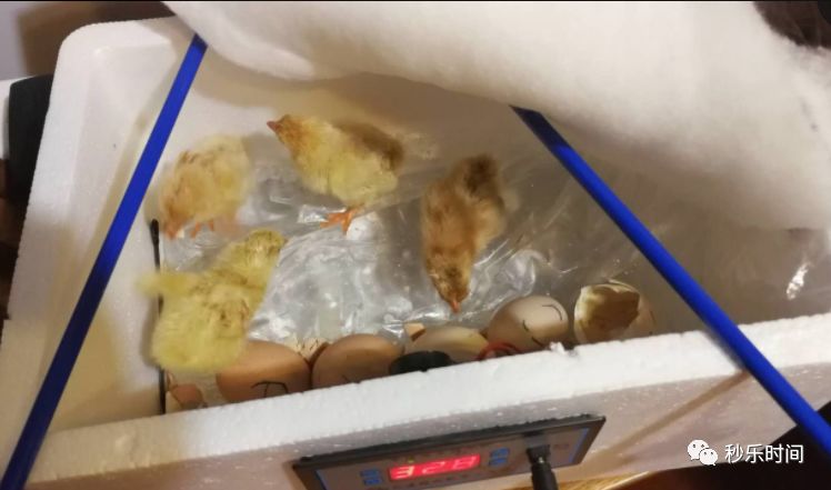 如何引导孩子对钱的认识,怎样教孩子对钱的认识