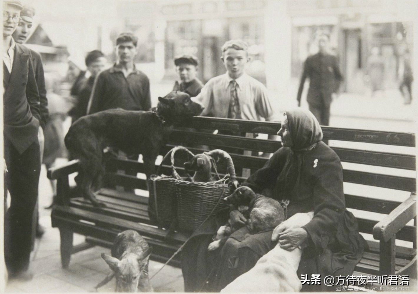 日本人镜头下的哈尔滨：八九十年前的远东大都市