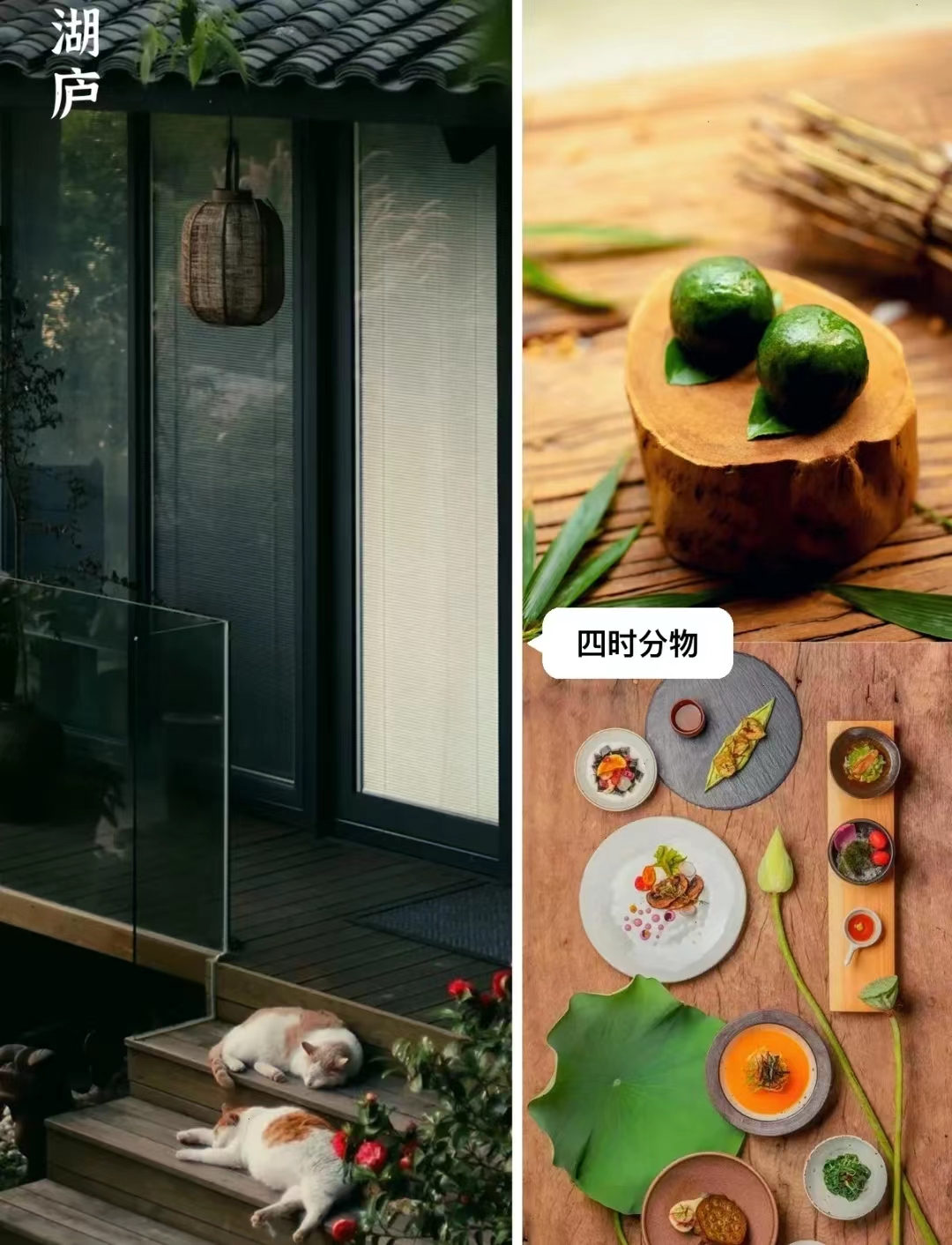 广州周边徒步露营景点推荐,五一广州周边野炊露营旅游攻略