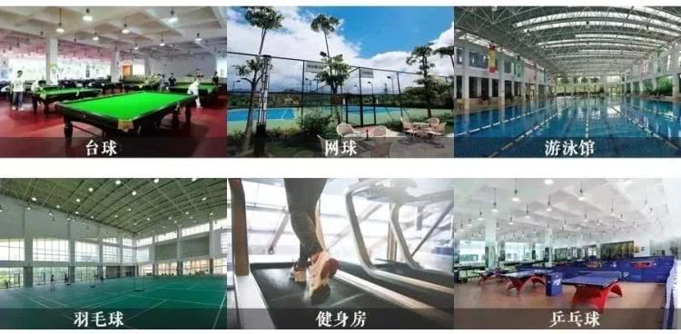 聚龙小镇：离城不离尘的心灵