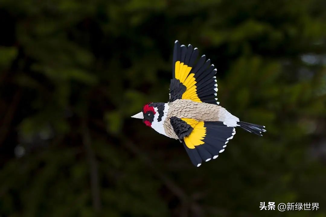 一组纸艺作品,令人惊艳的纸艺作品