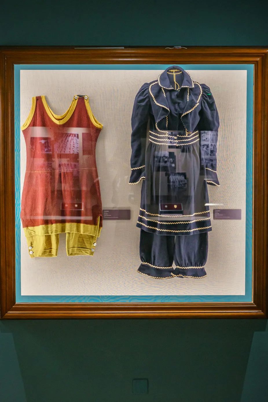 魔都自然博物馆,魔都的博物馆真的很有看头