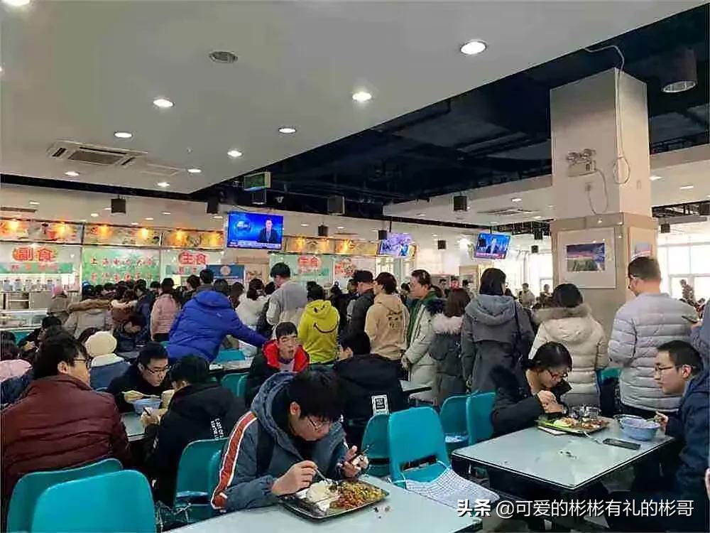 华北电力大学入电网就业率,华北电力大学电气专业毕业生去向