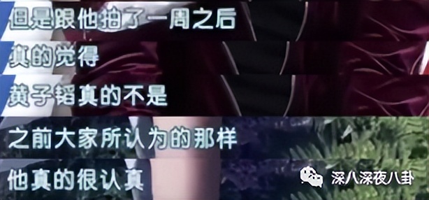 王子腾人物评价,王子腾是男的还是女的