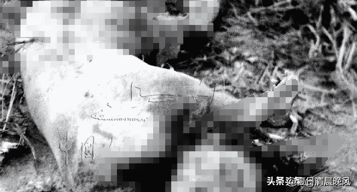 日寇在隆回暴行,日军在武冈的暴行