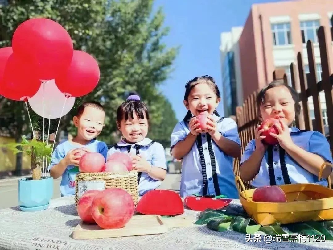 沈北新区教育问题,沈阳沈北新区教育现状