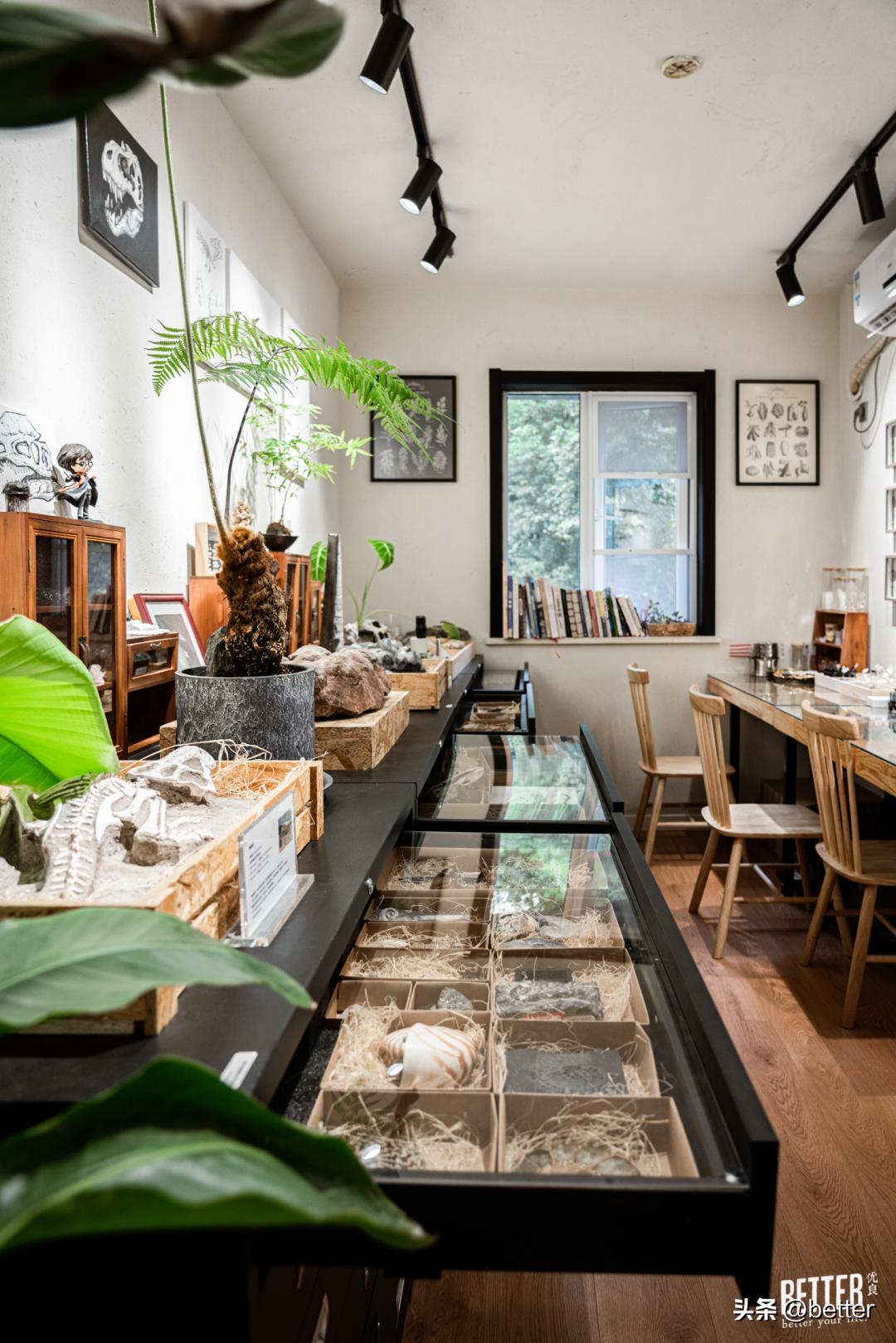 我在这家化石手作店，体验了一把「赌石」的快乐