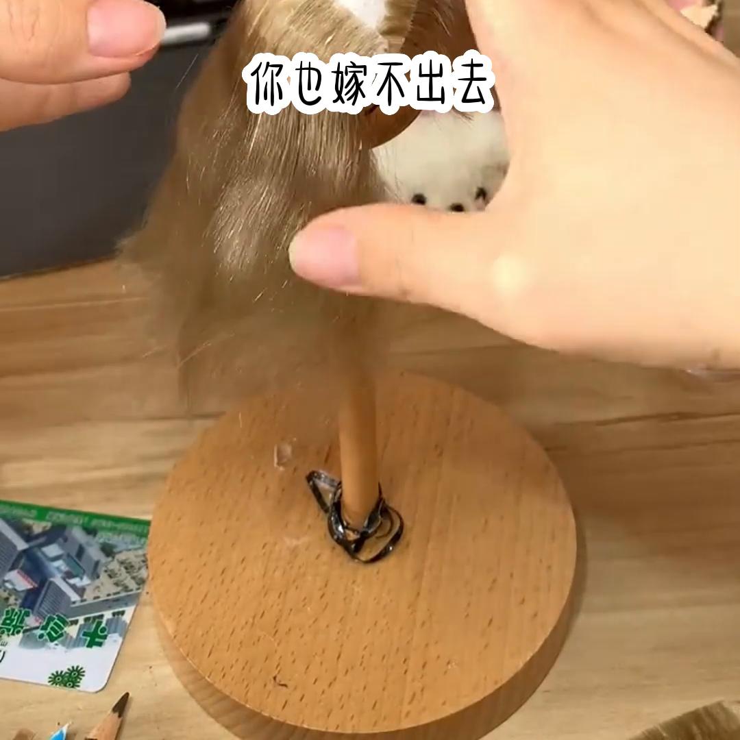 #妃子养生@DOU+小助手