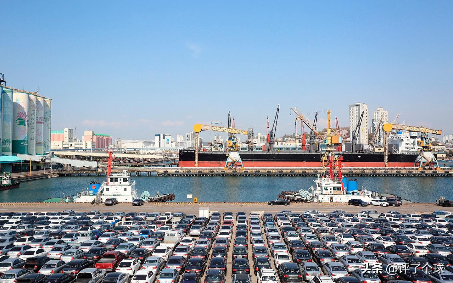 韩国放宽海外入境限制政策,韩国最新对俄消息