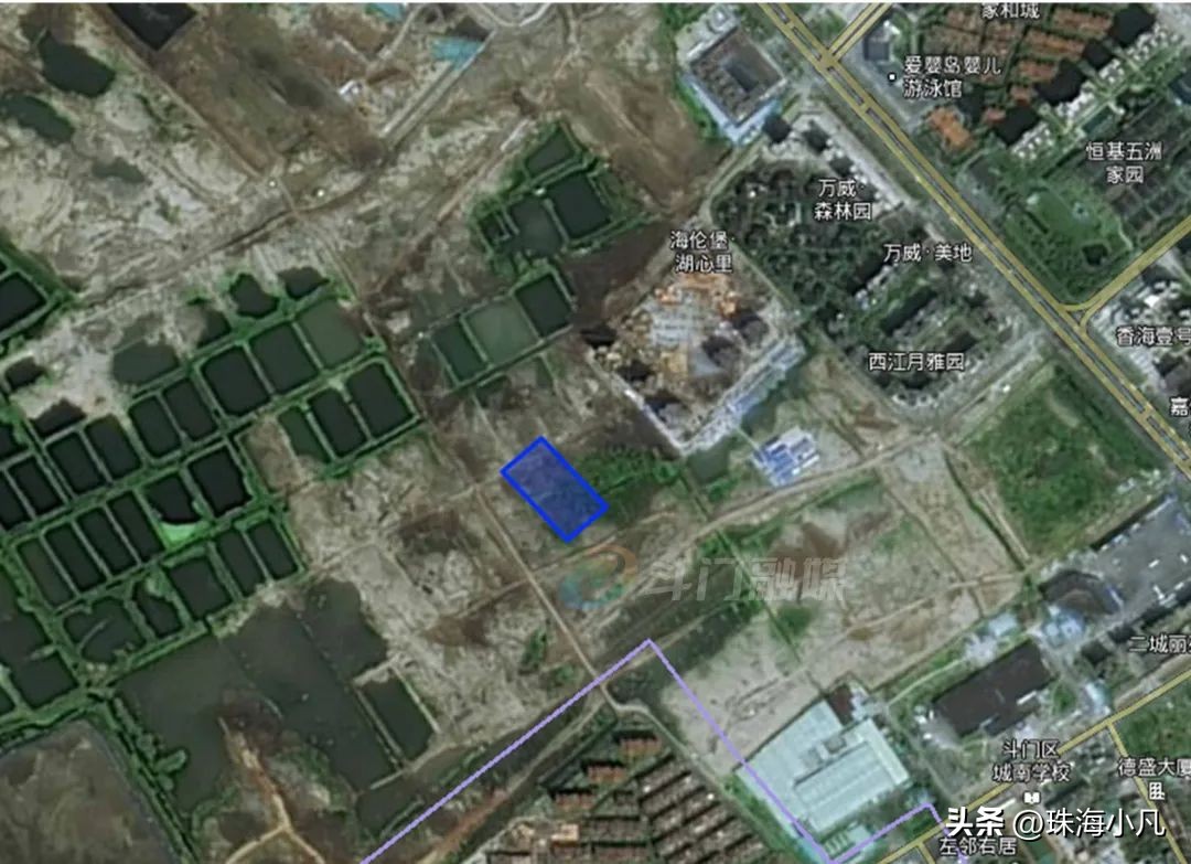 珠海大行动最新消息,珠海最新大事