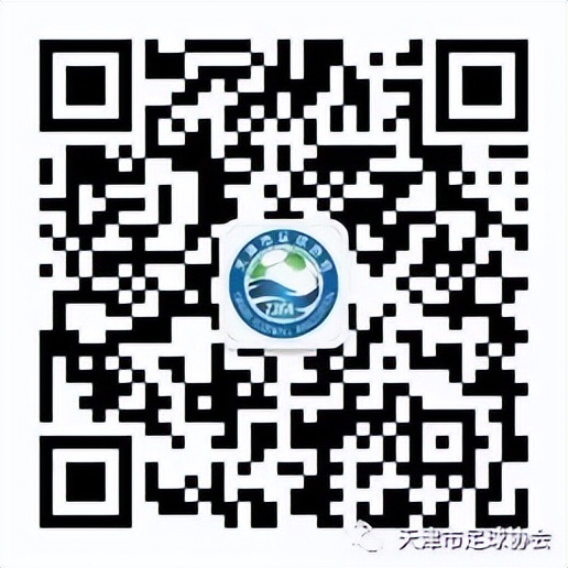 天津市足协杯冠军天津富晟,天津富晟阵容