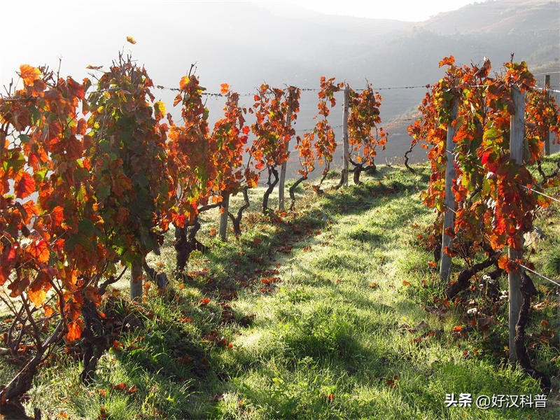 葡萄牙的地理位置和人口规模,葡萄牙地理位置及人口