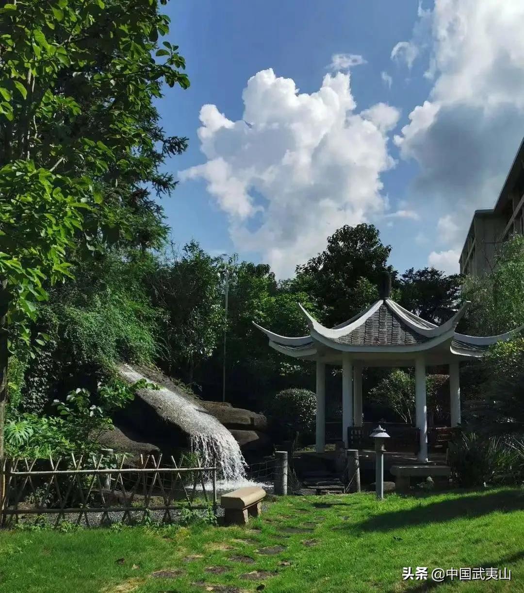 武夷山反响,武夷山茶香美宿