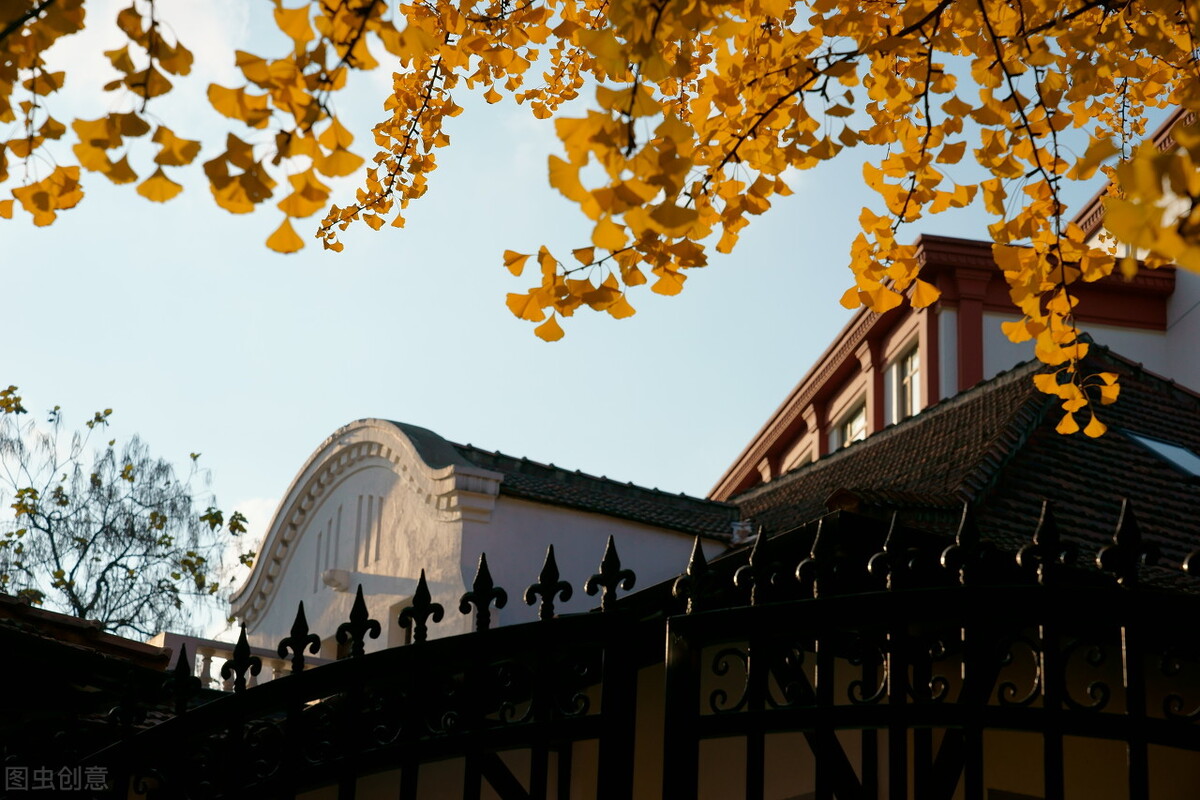 秋日上海好去处,上海秋日风景