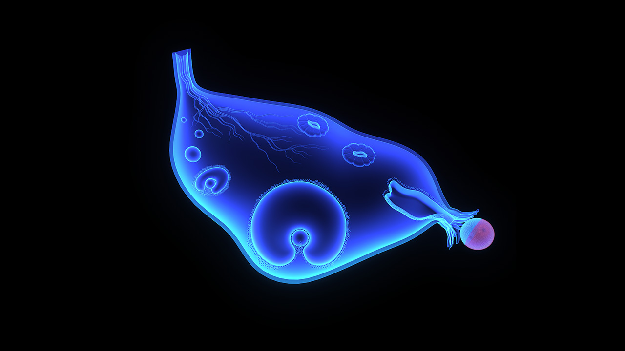 子宫内膜增厚乳房胀痛,子宫内膜增厚引起乳房胀痛吗